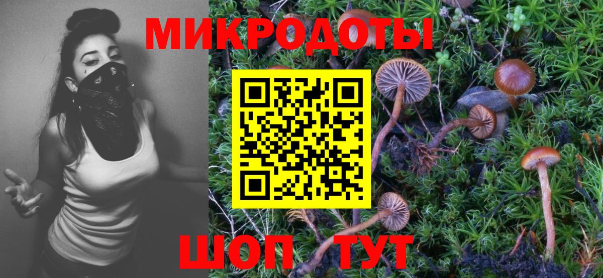 Жигулёвск  Галлюциногенные грибы прущие грибы  Галлюциногенные грибы мухоморы  Вход с VPN 