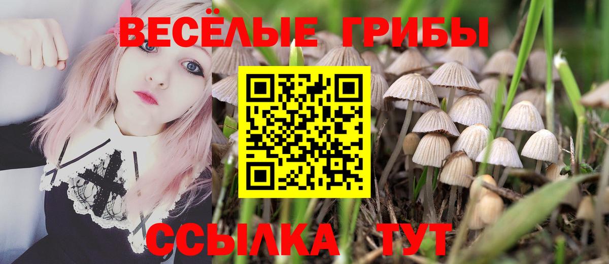 Галлюциногенные грибы ЛСД Жигулёвск